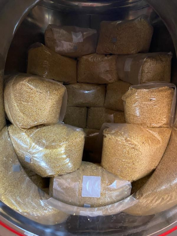 Mushroom Autoclave Inside Mushroom Autoclave Inside