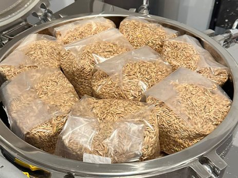 Autoclave with Mushroom Growing Grain Bags